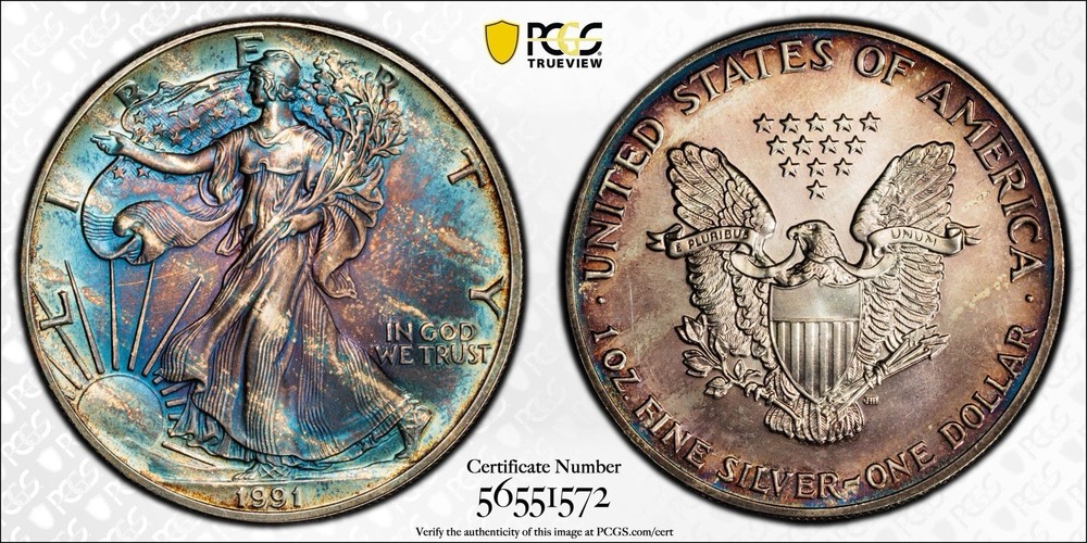 1991 PCGS MS65 American Silver Eagle Dollar $1 - Unique Stripe Toned