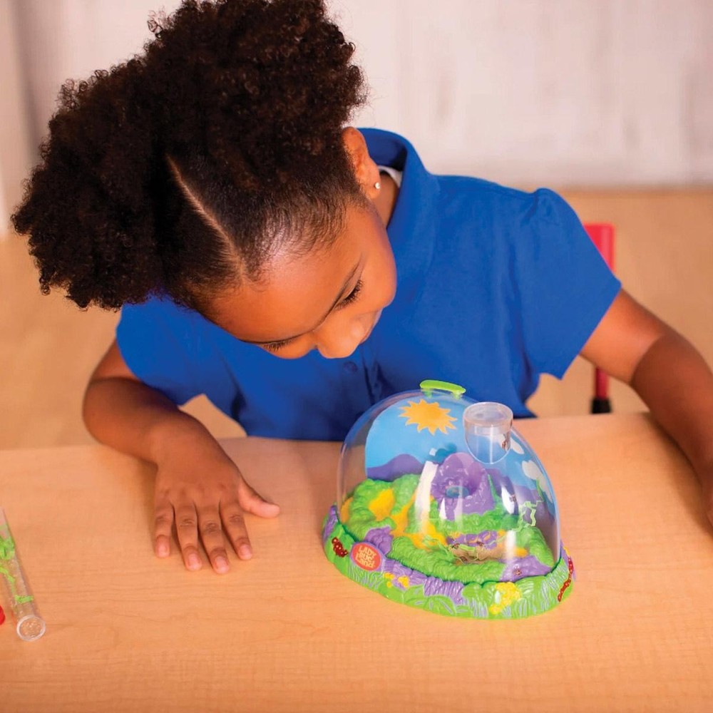 Insect Lore Products Ladybug Land with Prepaid Voucher