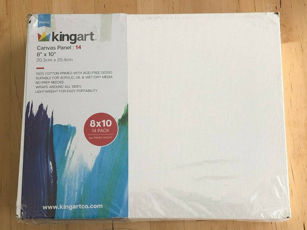 KingArt Studio Canvas Panels, 8" x 10", 14 Piece, READ