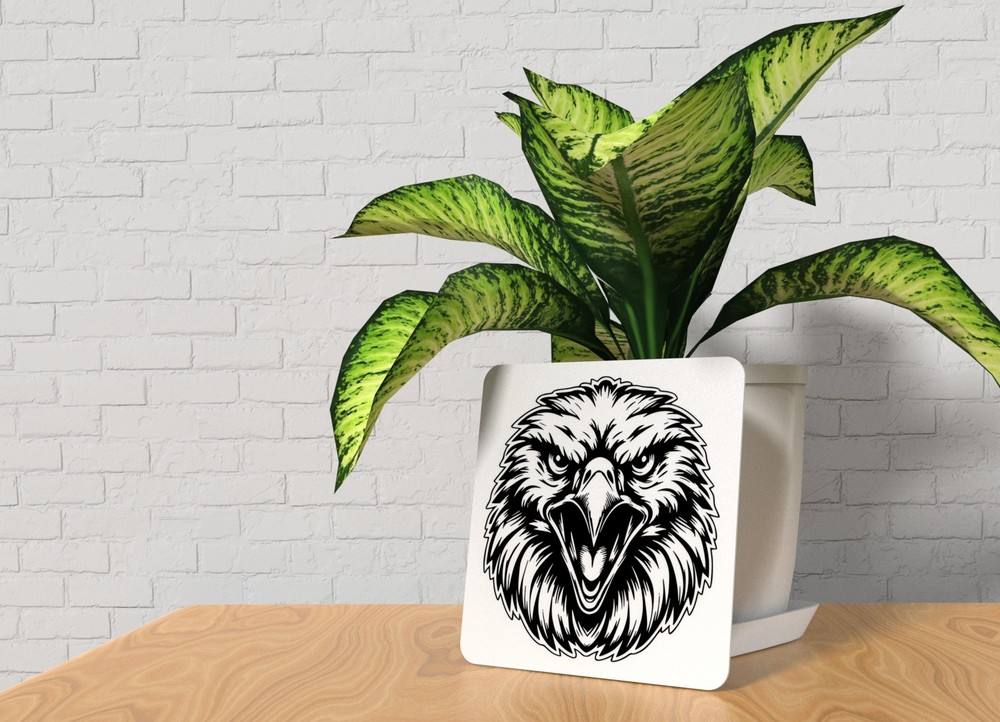 Eagle | Funny sign For Home or Office