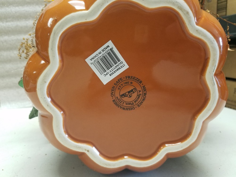 Ftd Pumpkin Shaped Flower Pot (V)