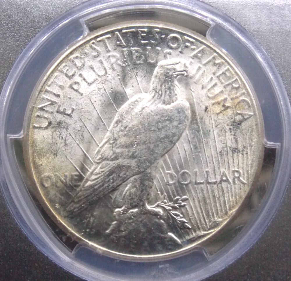 1923 "S" Peace SILVER Dollar $1 PCGS MS62 #846 Uncirculated Unc ECC&C, Inc.