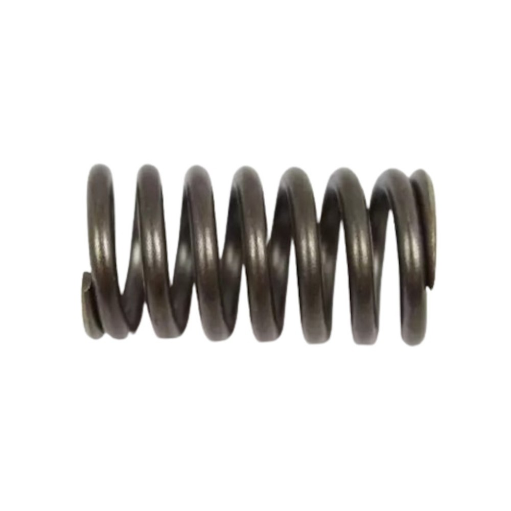OEM Mopar For Jeep Liberty 2002 03 04 05 2006 Accumulator Spring Outer Or Inner