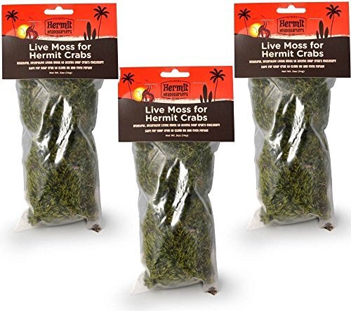 Flukers Live Moss for Hermit Crabs, 0.5-Ounce