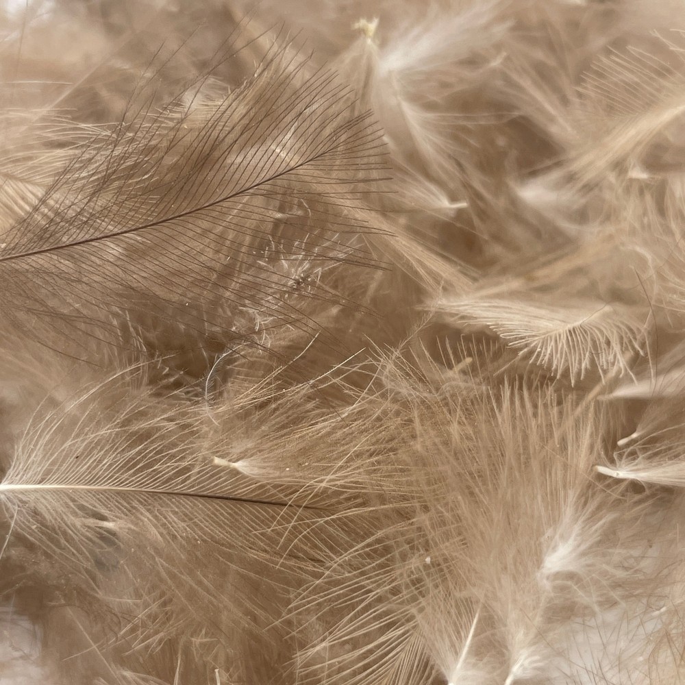 Upavon Natural Grey CDC 1 Gram Pack