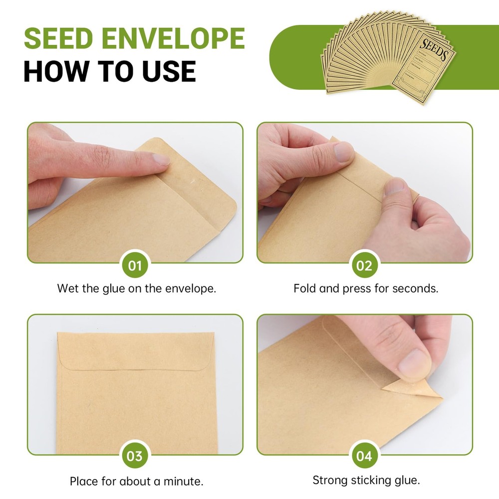 60 Slots Seed Organizer Seed Storage Seed Box 3 Compartments Seeds Organizer ...