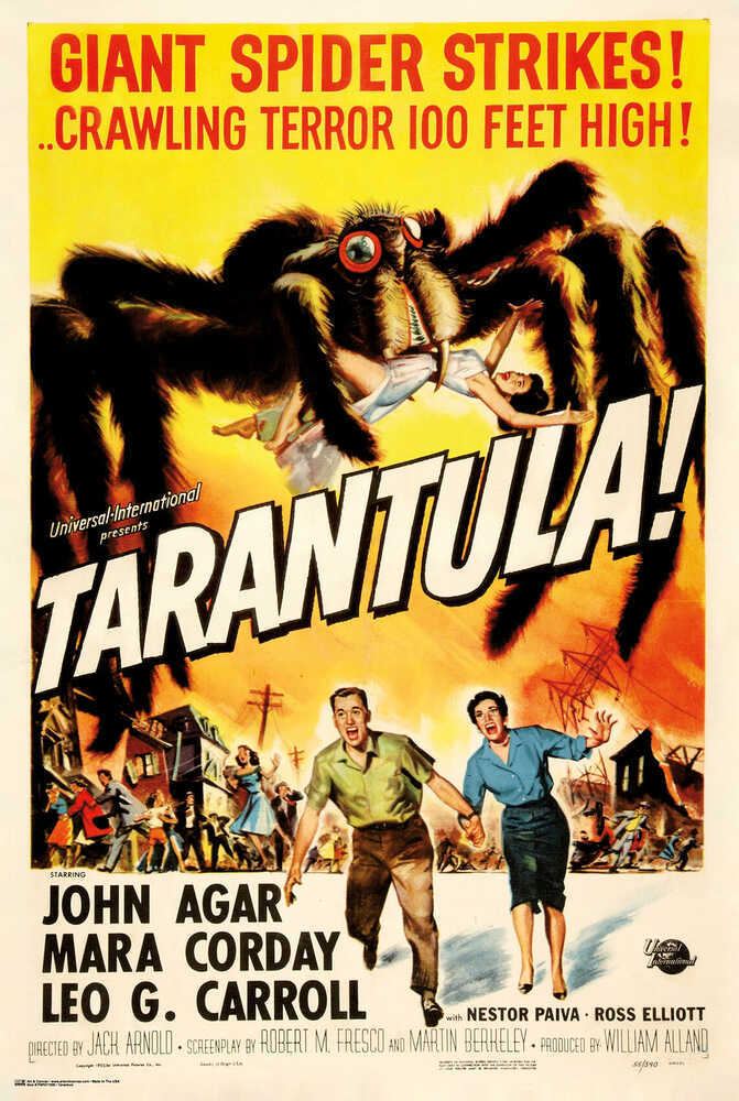 Tarantula Poster - 24" x 36"