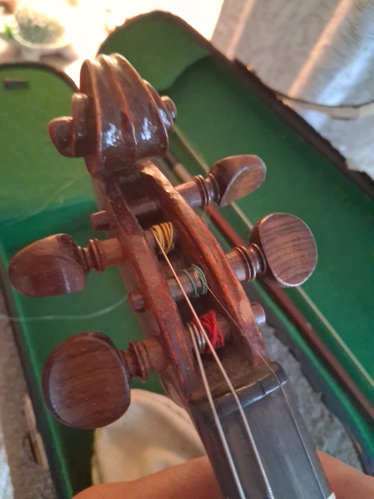 Violin