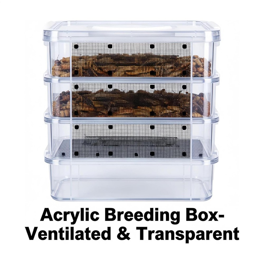 Mealworm Breeding Kit 4-Layer Clear Mesh Feeding Bin Mealworm Farm Container