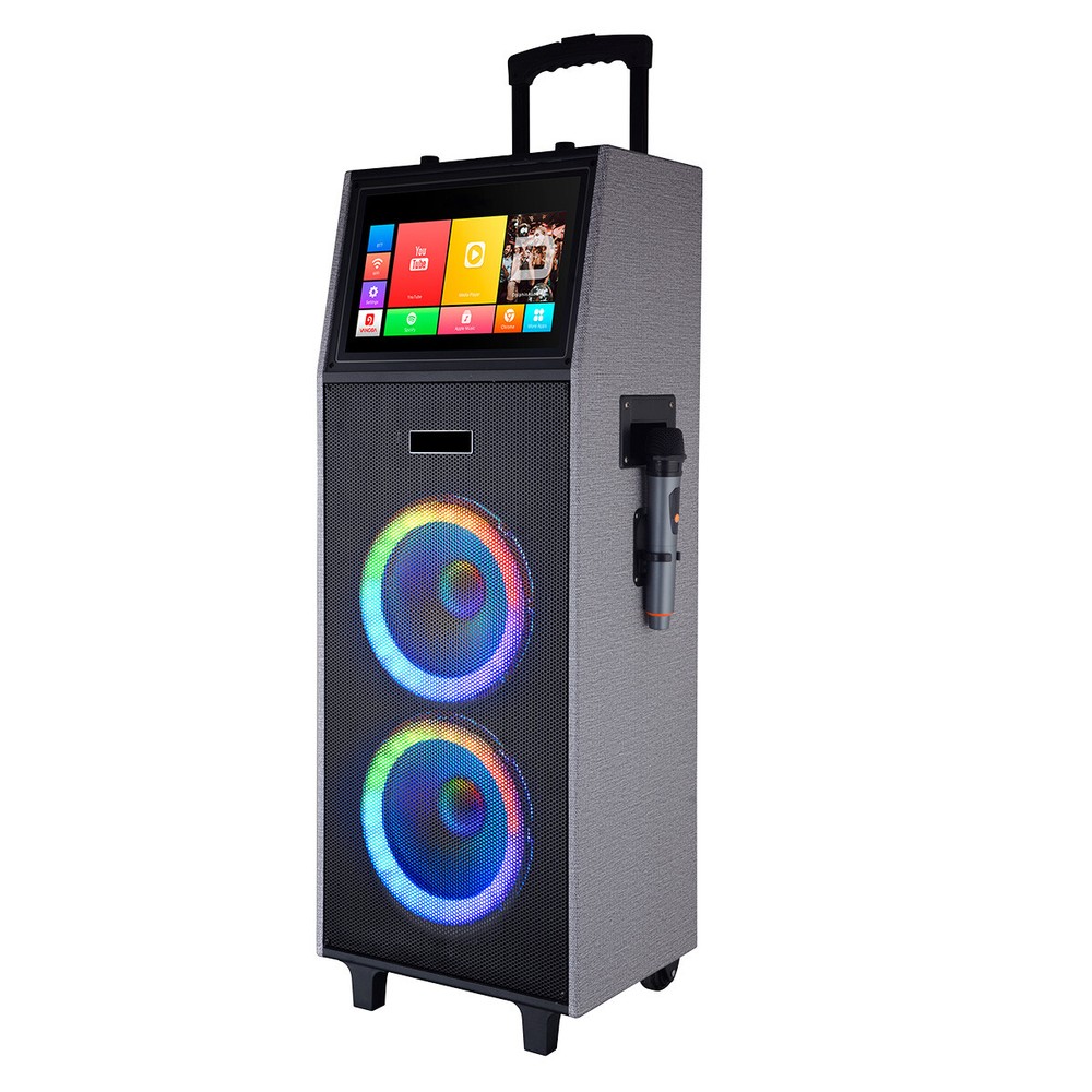 Professional Karaoke Machine Bluetooth Speaker Lyrics Display Screen WirelessMic