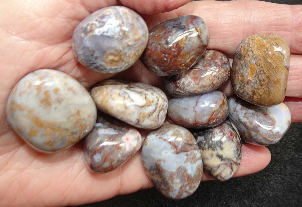 Pietersite - 11 Tumbled Stones rt448u