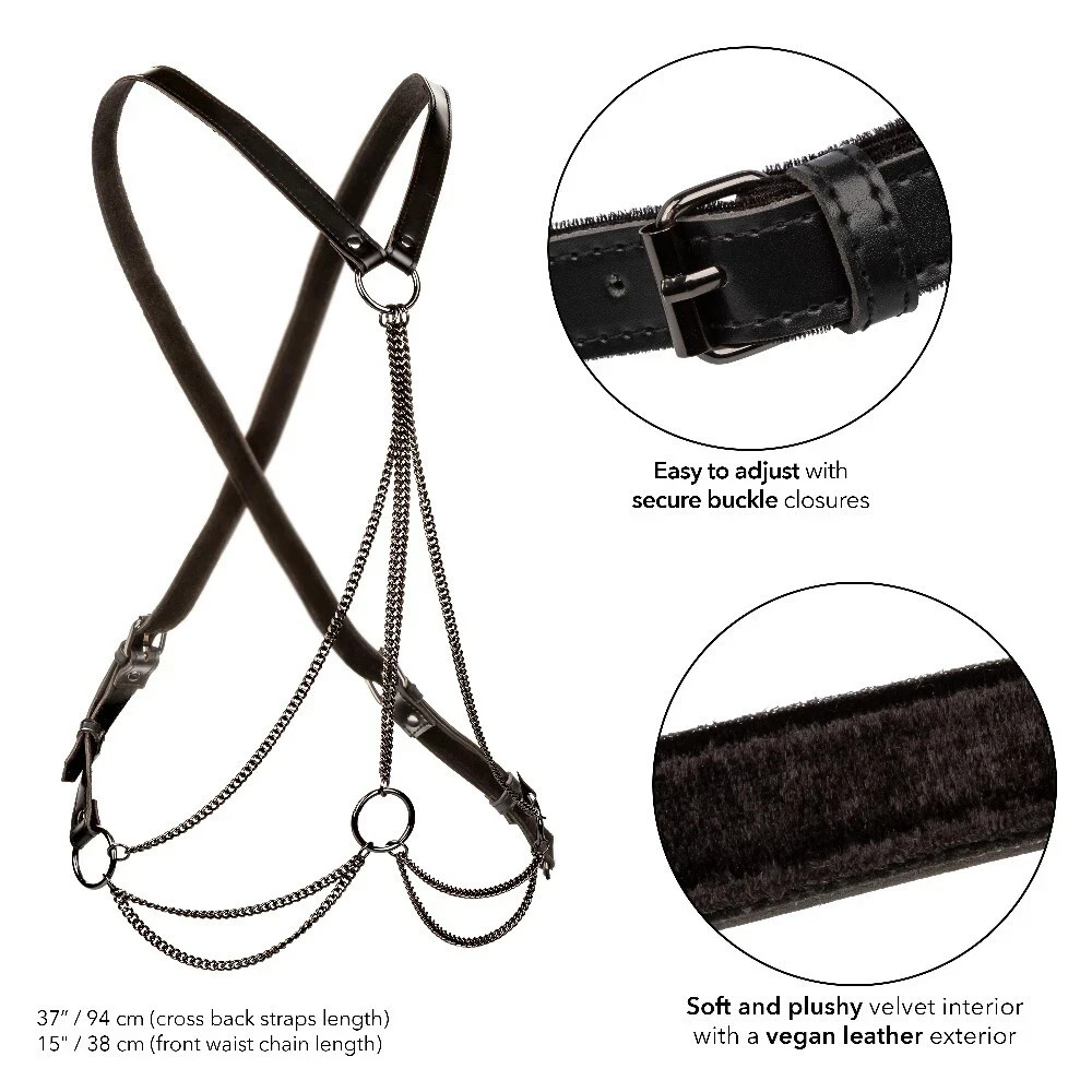 Cal Exotics Euphoria Collection Multi-Chain Harness Black - Fetish BDSM Play
