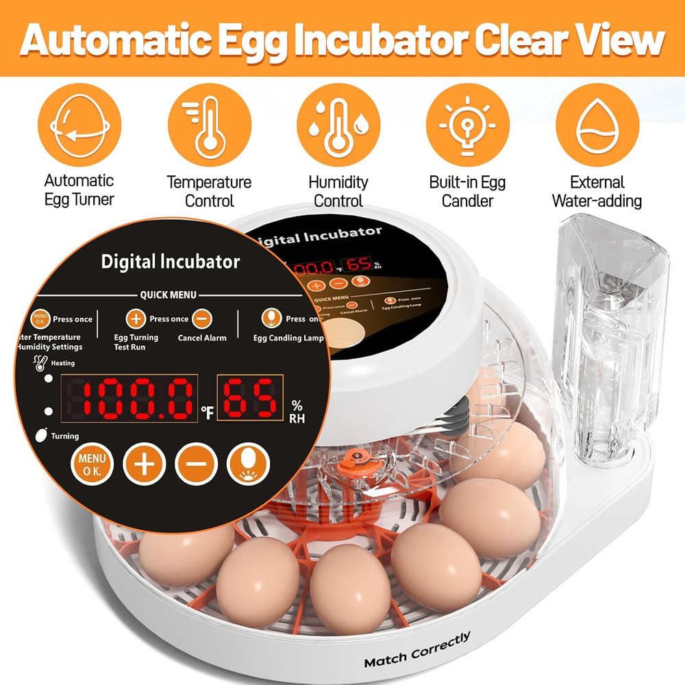 12 Egg Incubator for Hatching Eggs with Automatic Egg Turning, Temperature & Hum