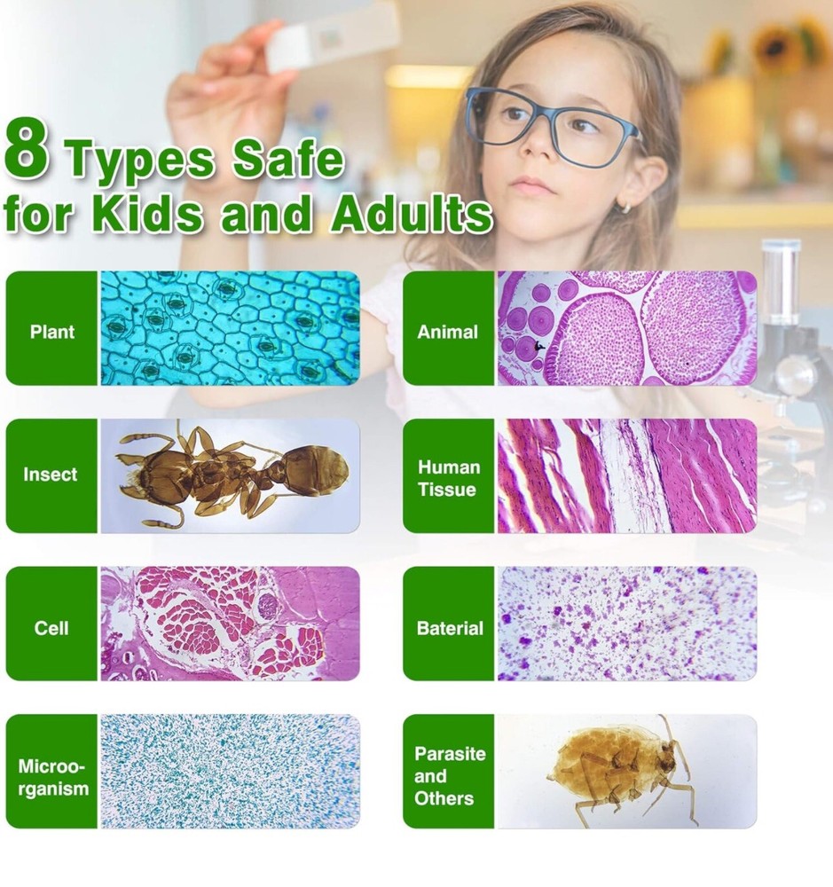 30 Microscope Slides with Specimens for Kids, Prepared Microscope Slides for ...