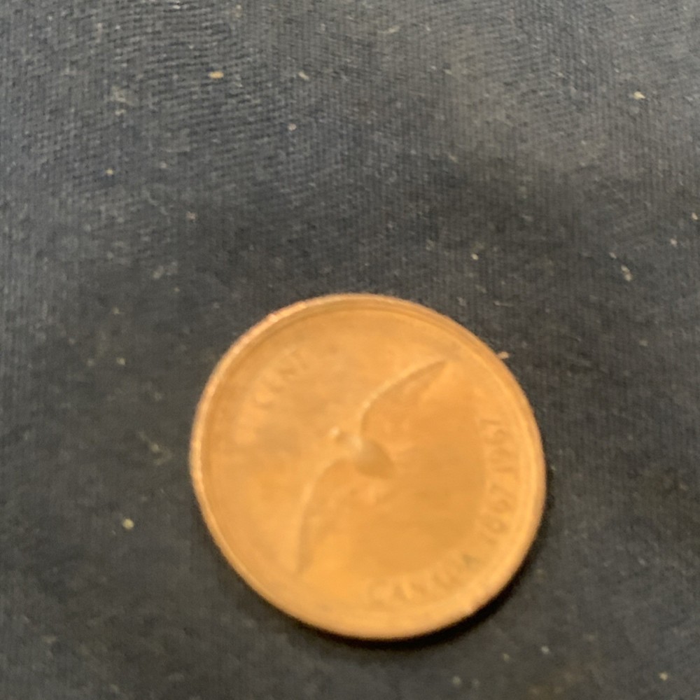 Flying Eagle Small Cent Circulated US Coin Uncertified