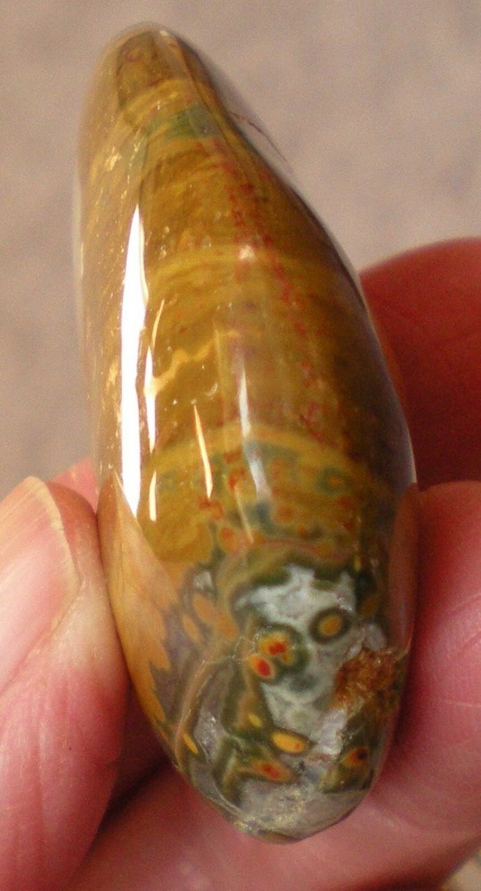 Ocean Jasper Palm Stone sc687k