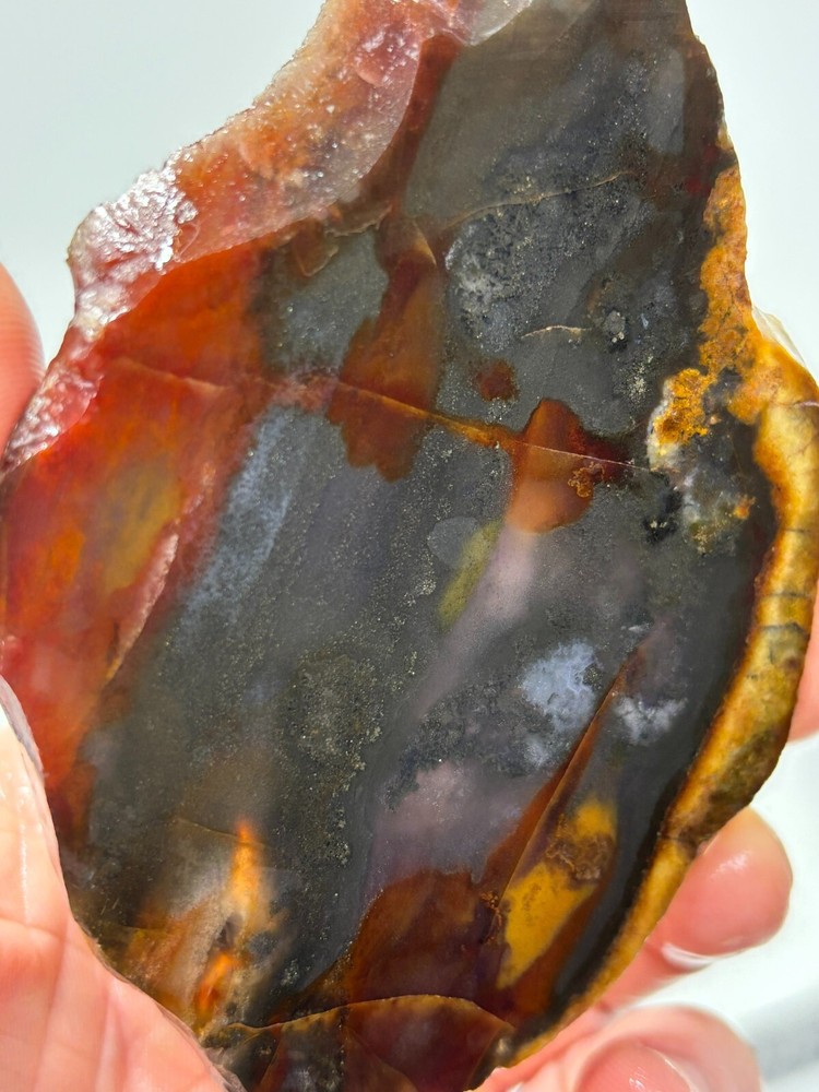 Oregon State Jasper Slab Cabbing Lapidary Carving Combo Ship Avail