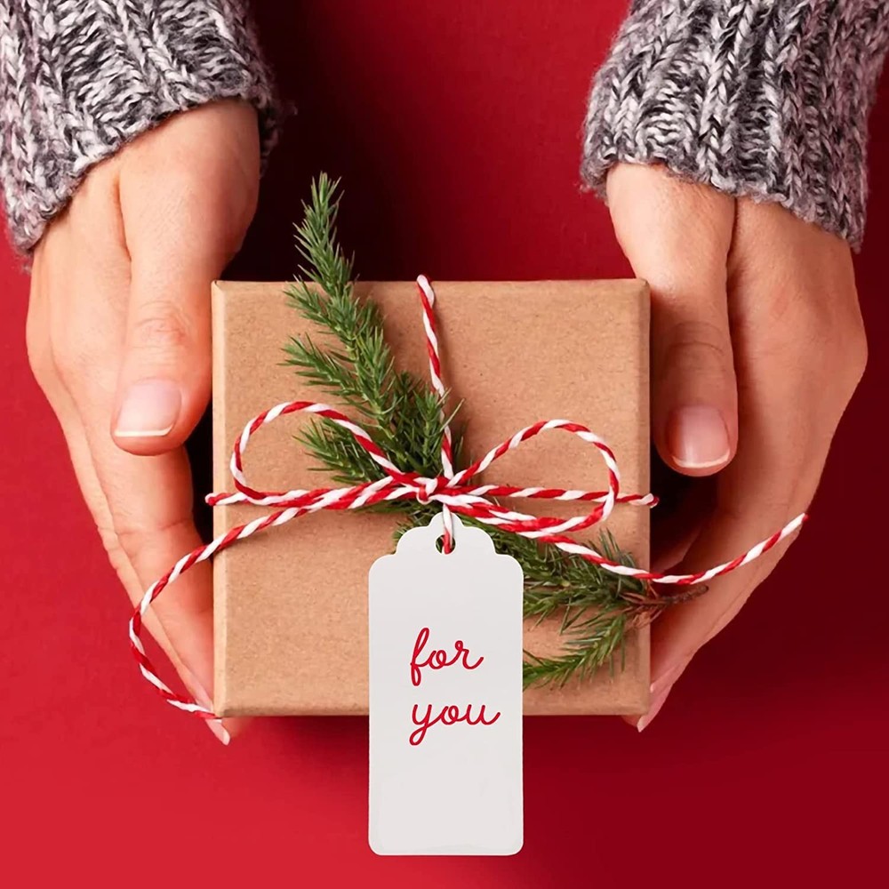 White Gift Tags with String, 2'' X 4'' Paper Gift Tag, 100PCS Rectangle Blank Ta