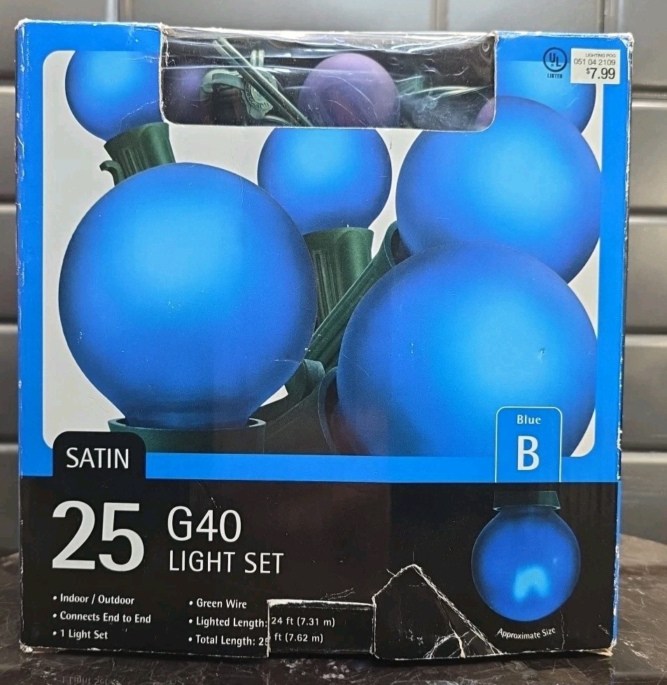 Target 25 G40 String Light Set Satin Blue 24ft