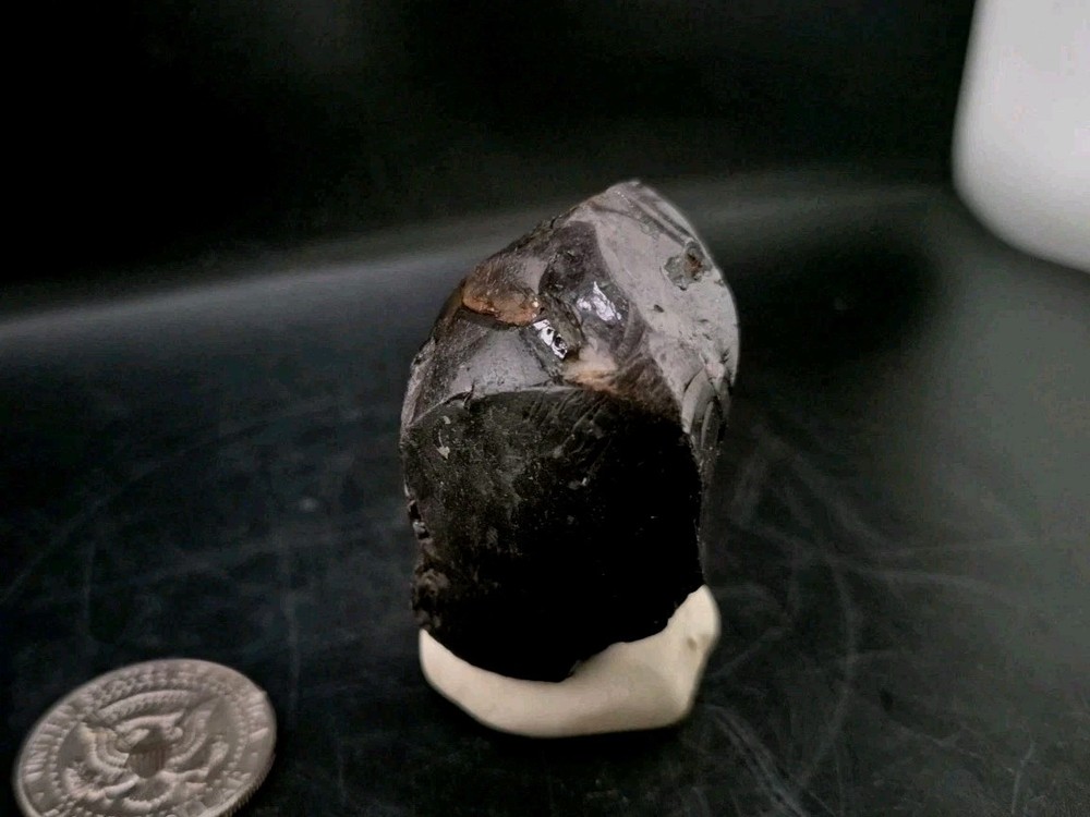 Real Fossil Dinosaur Egg Opalized