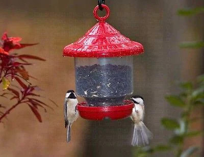 Clingers Only Bird Feeder