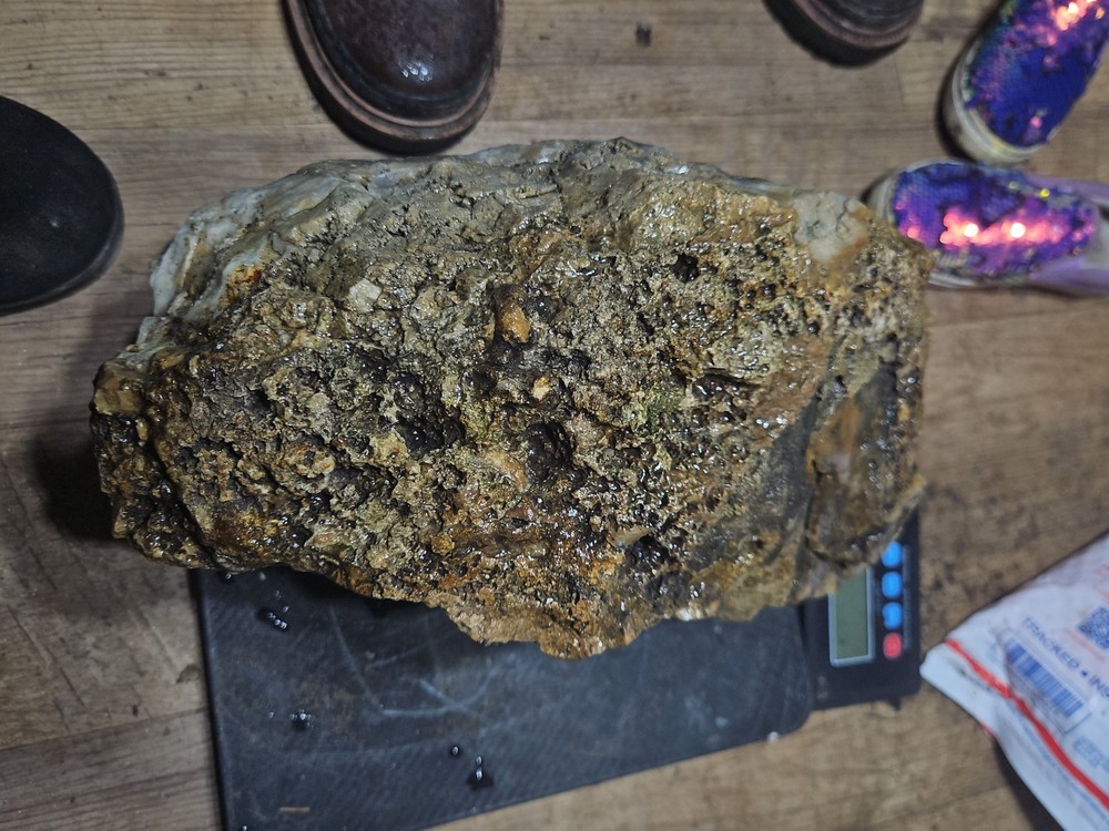 Petrified Palm Tree Root Specimen (36lbs 12oz)