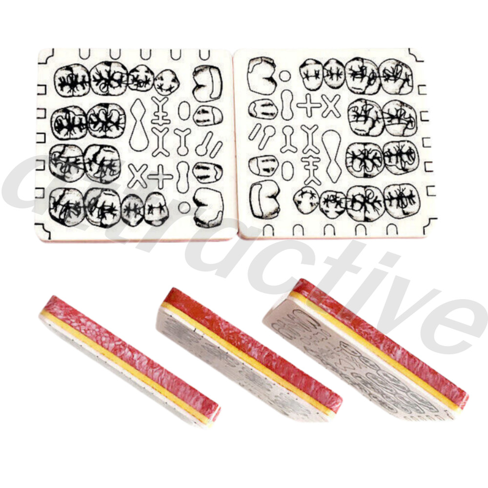 Dental Cavity Tooth Preparation Blocks Caries Remove Model Student Trainer Block