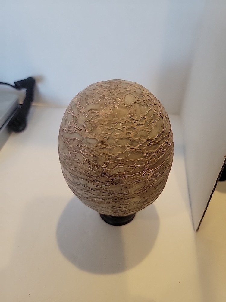 Dinosaur Egg Fossilized Crystallized Fossil VV2