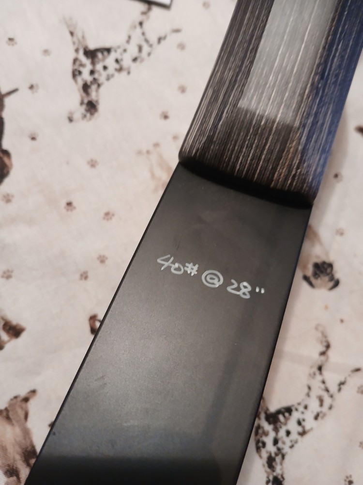 Modern Creative XP takedown longbow 40#