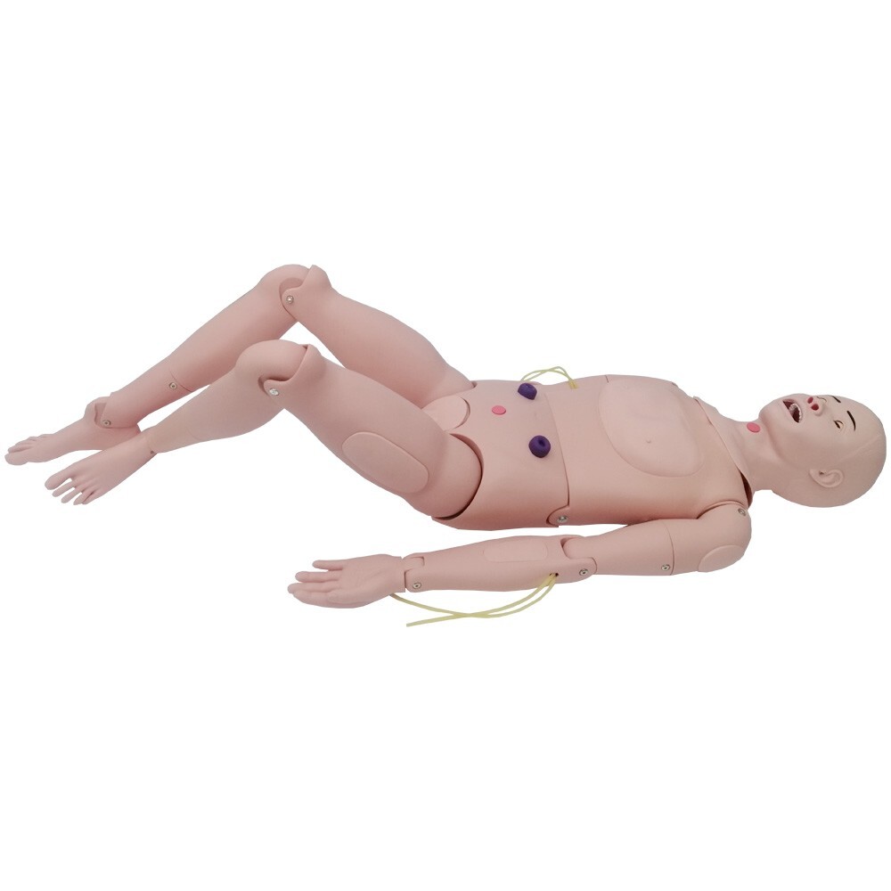 Trauma Simulator Multifunctional Nursing Training Model manikin Wound Care New