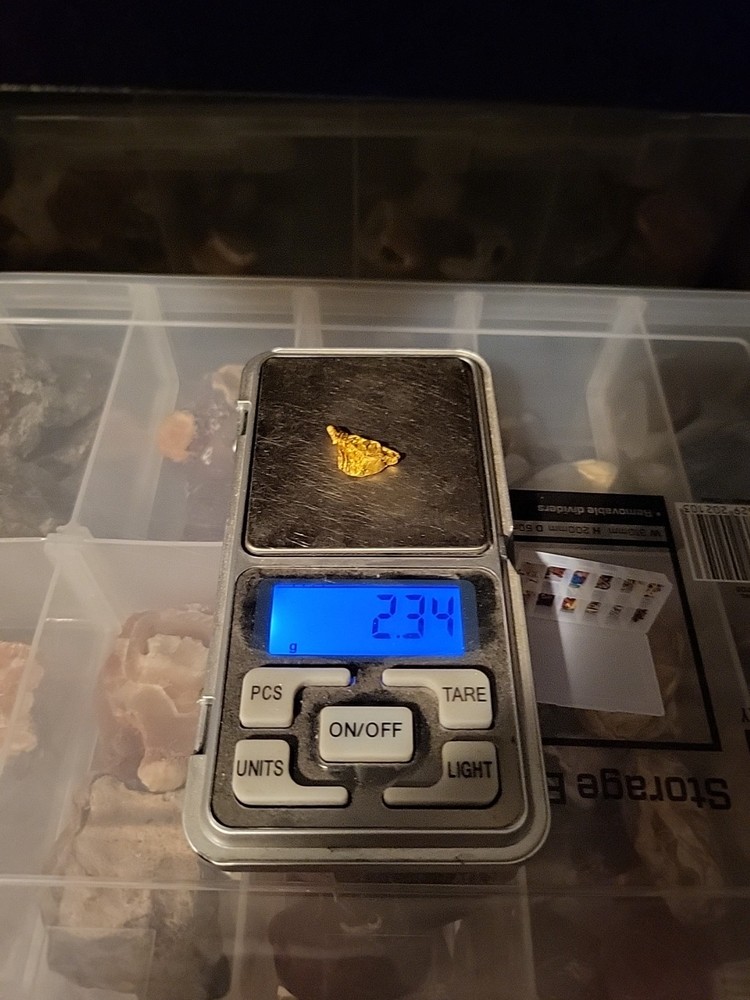 Gold Nugget