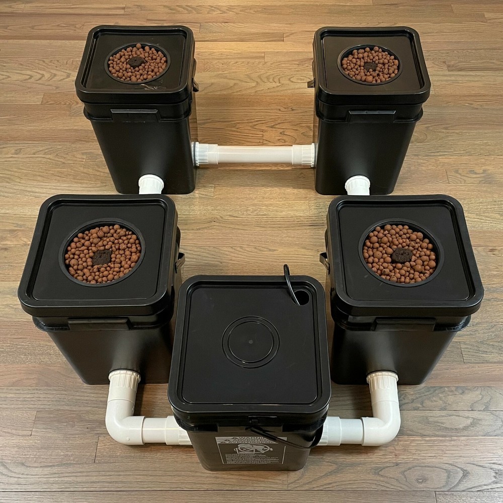 Recirculating Deep Water Culture (RDWC) 4 Site, 6inch, 5 Gal Hydroponic System