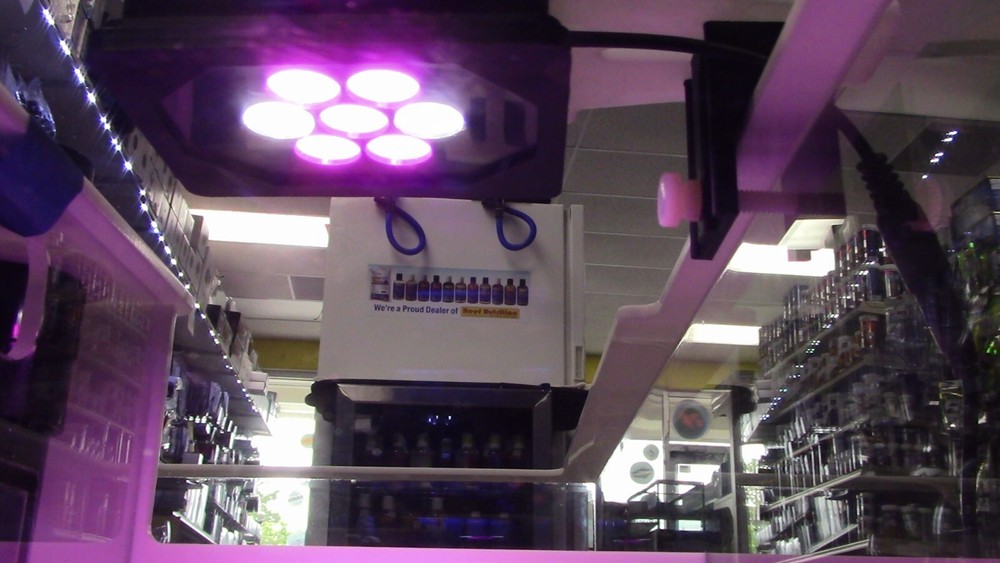 Refugium light CHAETO C7s Refug LED Light White