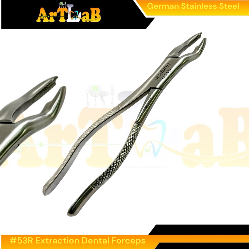 Right Upper First & Second Molar Extraction Forceps #53R, Serrated, 1pc