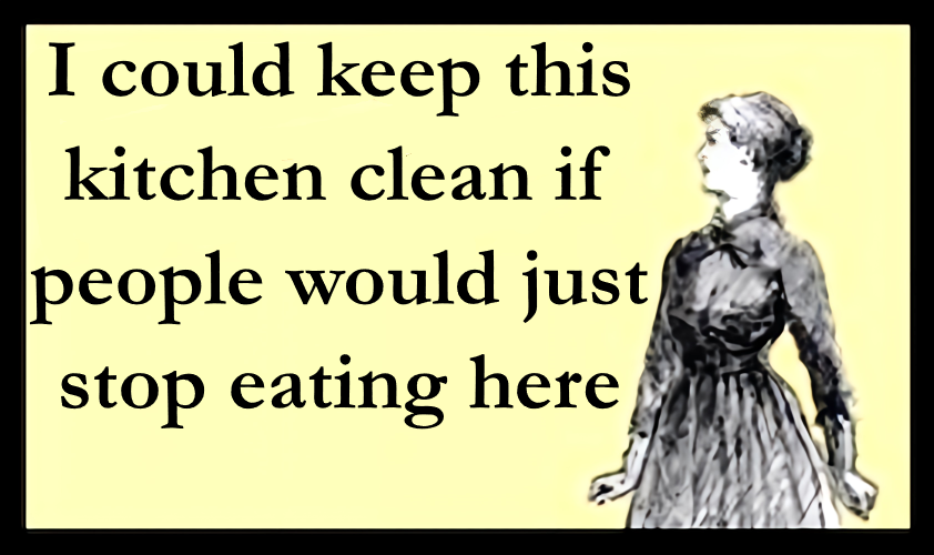 I Could Keep This Kitchen Clean If People Would Just Stop Eating Here MAGNET