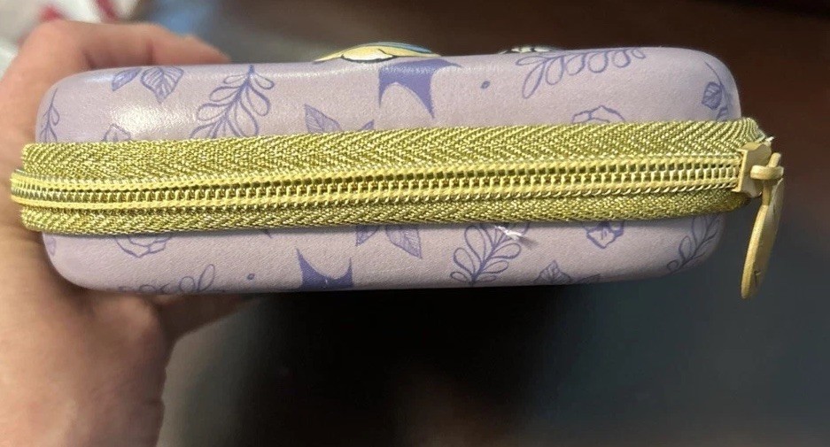 Disney Princess Hard Shell Zip Closure Pencil Case