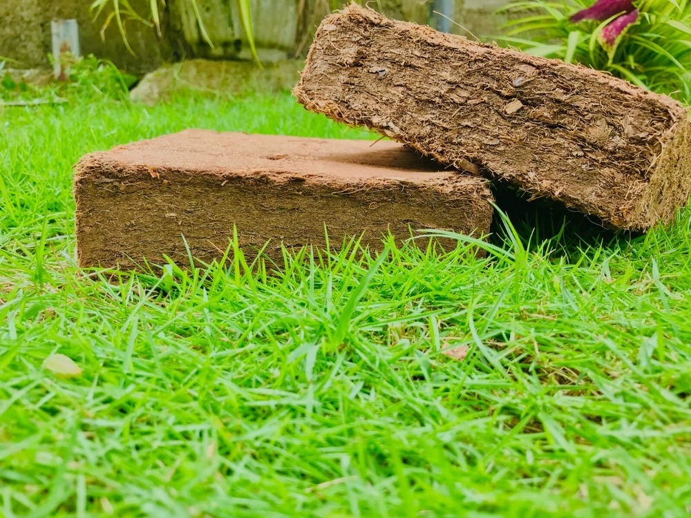 Coco Coir Brick Natural Seed Starter Soil Amendment Growing Media free shipping