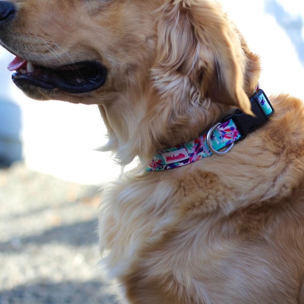 Classic Pet Collar Adjustable Durable Comfortable Washable Polyester Buckle