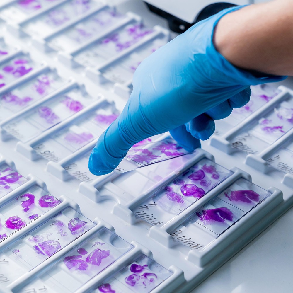 500pcs Microscope Storage Slides, 24x50mm Rectangular