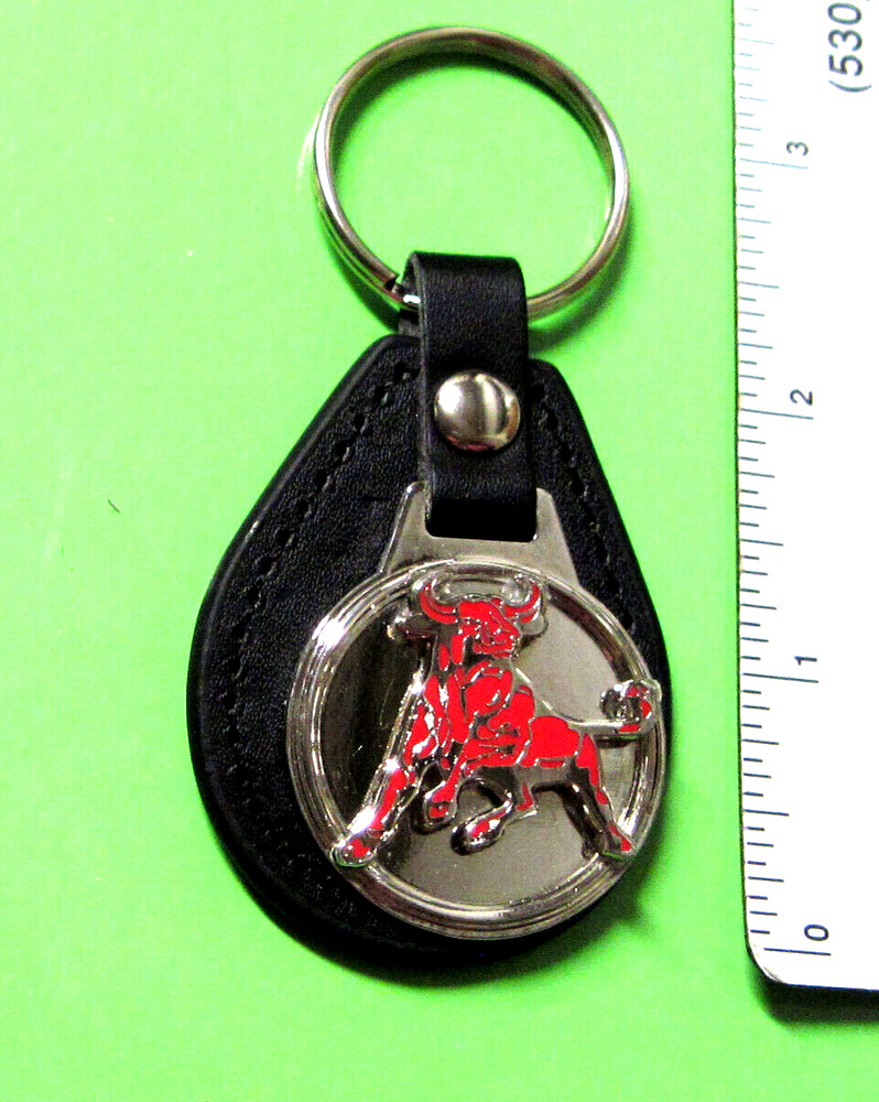 CHARGING WILD BULL - key chain , keychain GIFT BOXED