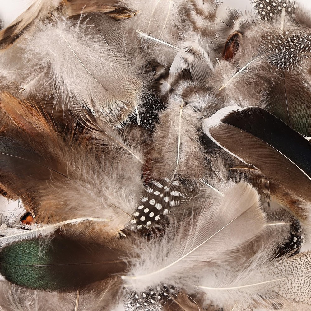 300 pcs Small Feathers - 10 Style Mixed Spotted Decorative Natual Pheasant Fe...