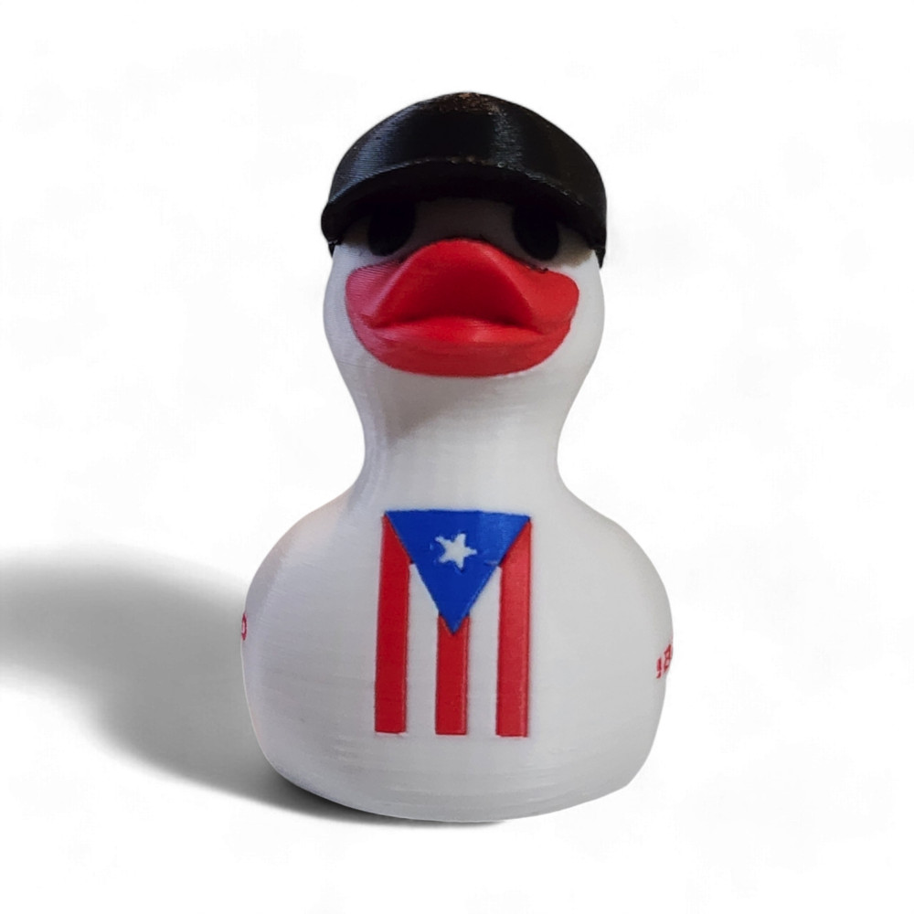 Puerto Rico Duck