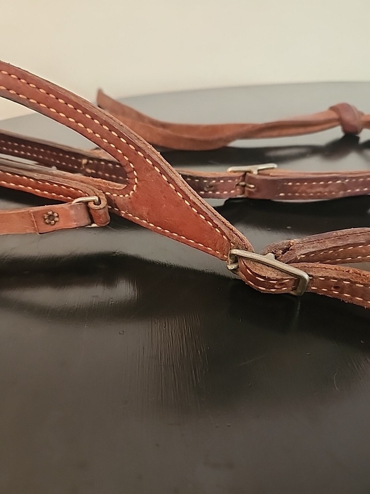 Horse Bit and Bridle Set