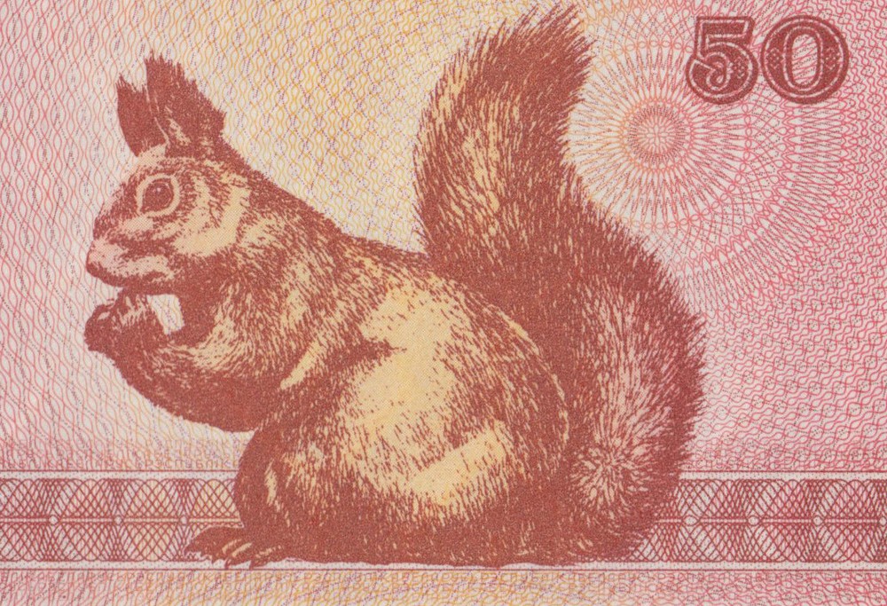 BELARUS  50 Kopeks 1992 UNC    SQUIRREL on back