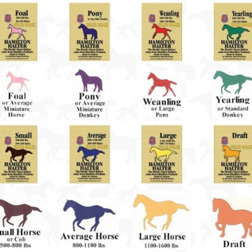 Hamilton Quality 3/4" Nylon Adjustable Halter With Snap