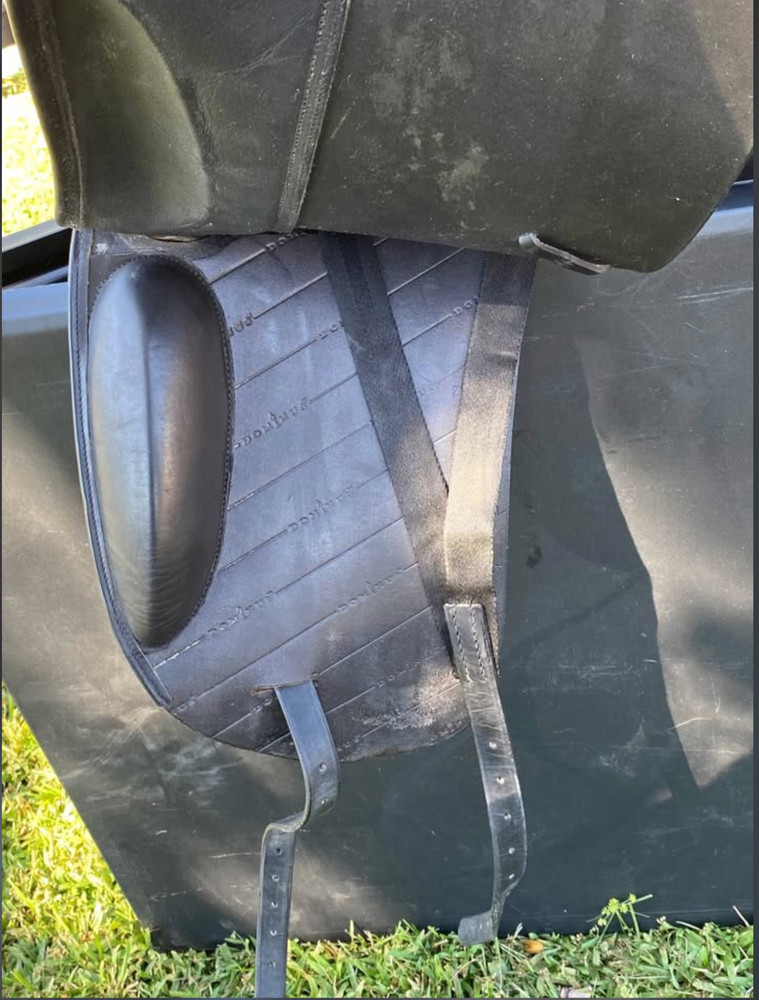 Dressage Saddle 17.5 - Dominus