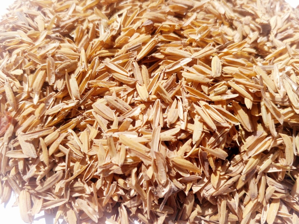 Rice Husk 100% natural compost hydroponic growing media 100g