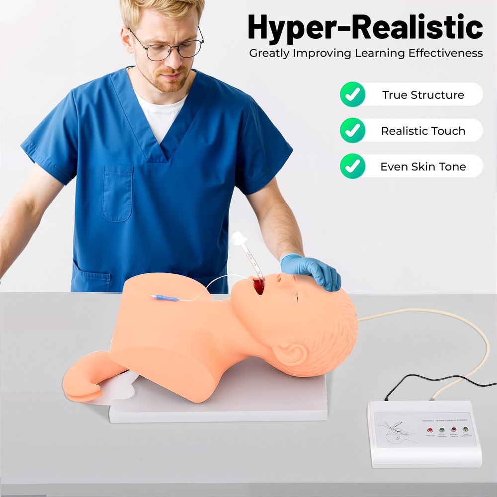 Intubation Model Lab Intubation Airway Management Training Model Teaching Model