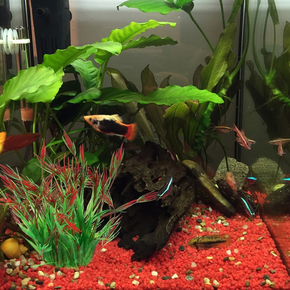 2 Pcs Plants for Fish Tanks Aquarium Artificial Plastic Decorations