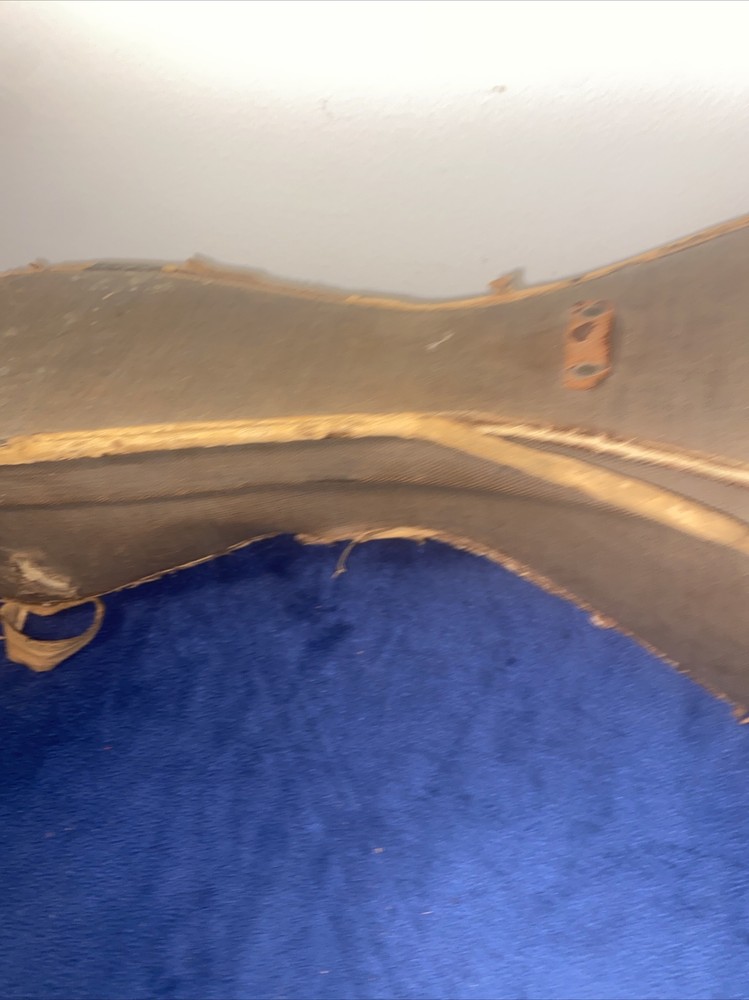 Antique Humpback Mandolin With Original Case